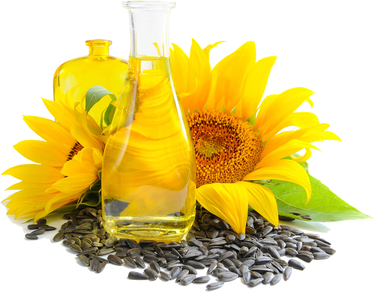 Sunflower Seeds Png Image - Sunflower Oil Png (1280x1280), Png Download