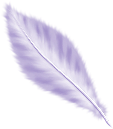 Download Plumes Plumas Png Sin Fondo Full Size Png Image Pngkit