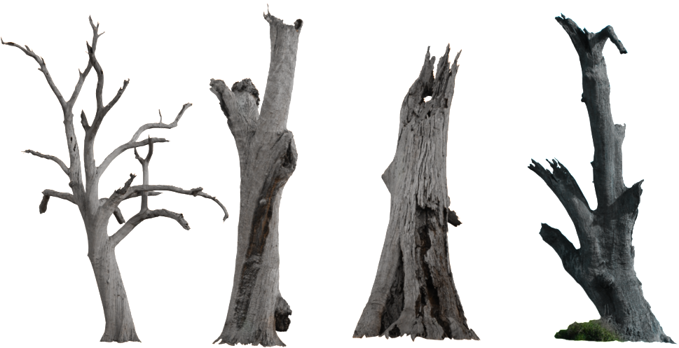 Ink Chinese Style Dry Branches Decorative Elements - Dead Tree Trunk Clipart (1024x1024), Png Download