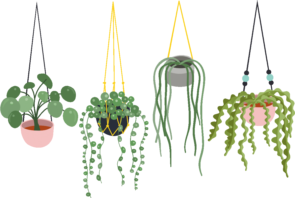 Sticker Fleurs Et Plantes Scandinaves Suspendues Ambiance - Sticker (1200x1200), Png Download