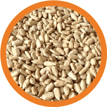 Sunflower Seeds Eli 2017 03 03t22 - Karmalize.me 230030 Organic Sunflower Seeds 6 Oz Food (415x415), Png Download