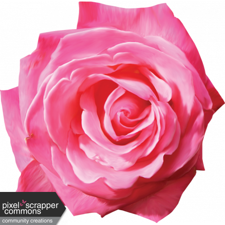 Painted Pink Rose - Digital Scrapbooking (456x456), Png Download