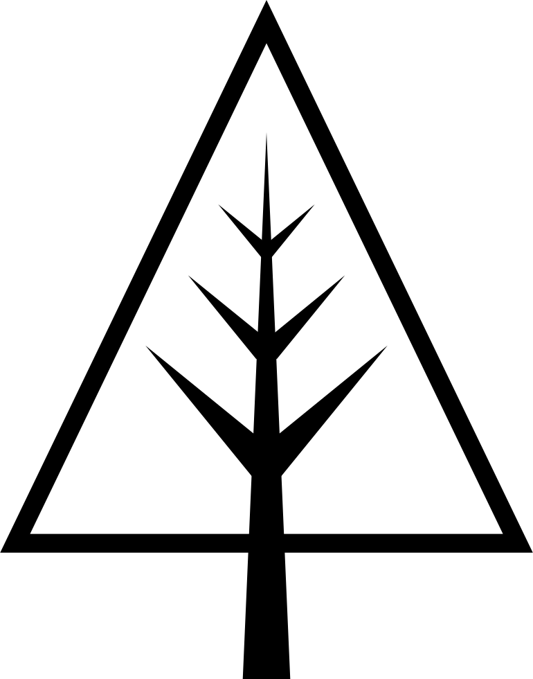 Dry Christmas Tree - Icono Pino Png (770x980), Png Download
