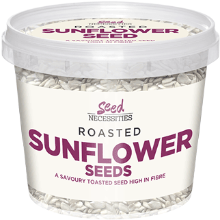 Roasted Sunflower Seeds - Cream (500x484), Png Download