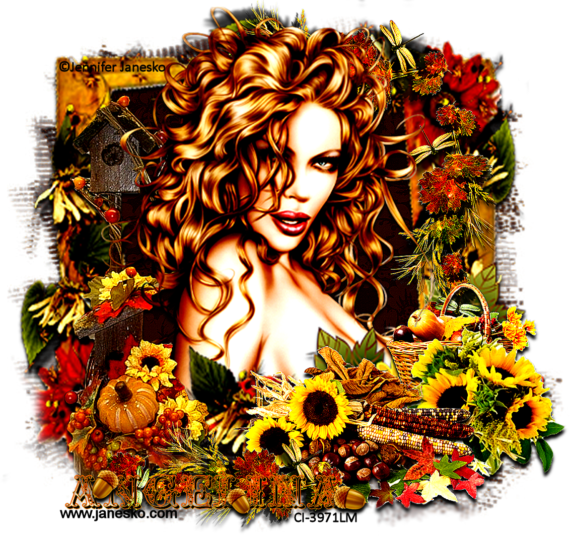 Janesko Fall - Erntedank-reihe 2 Kissen (1134x1065), Png Download