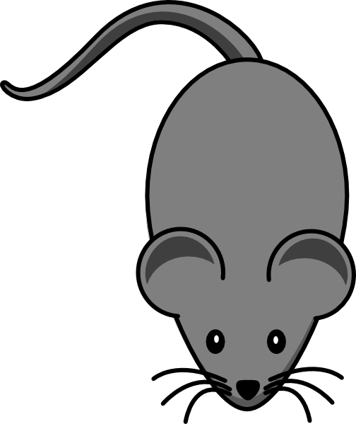 Cute Mouse Clipart - Lab Mouse Clip Art (504x599), Png Download