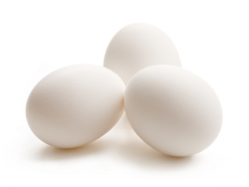 Egg (500x500), Png Download