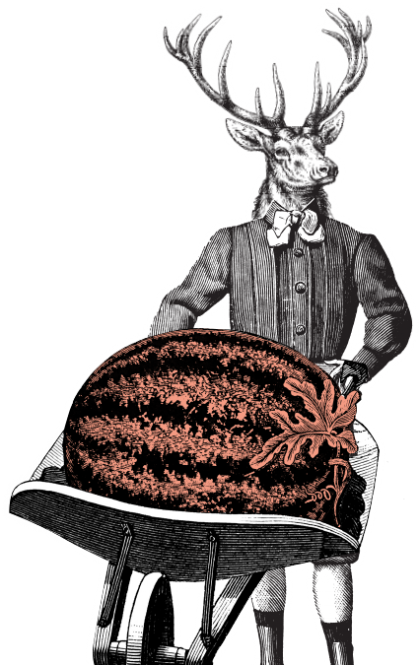 Electric Watermelon - A Clash Of Kings (419x665), Png Download