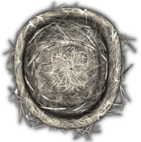 29 425k Egg 06 Feb 2009 - Circle (483x475), Png Download