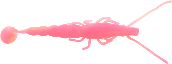 Halco Paddle Prawn 5 Inch Pink Glow - Insect (1000x500), Png Download