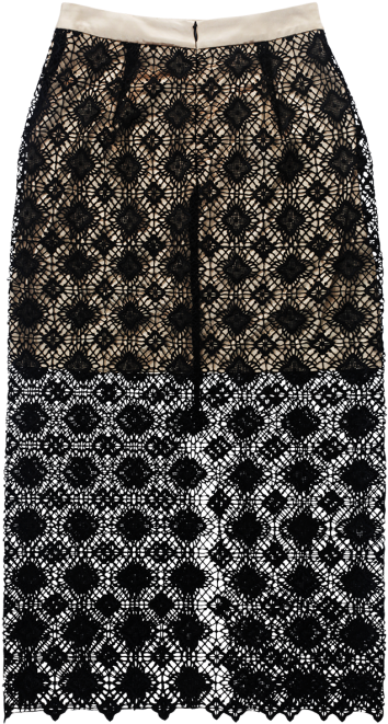 Black Lace Flower Skirt - Jersey (500x750), Png Download