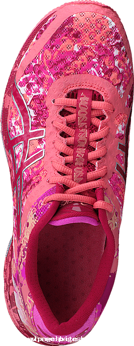 Asics Women Gel Noosa Tri 11 Guava / Cerise / Pink - Shoe (273x705), Png Download