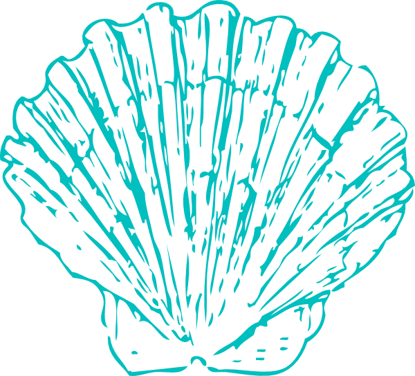 How To Set Use Maehr Website Shell Icon Png - Transparent Background Blue Seashell Clipart (600x544), Png Download