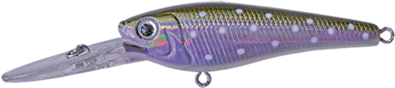 Galaxia Minnow 981t - Bait Fish (648x288), Png Download