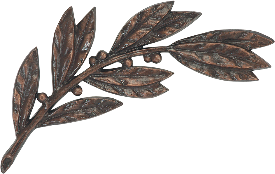 Laurel Branch - Twig (1000x1000), Png Download