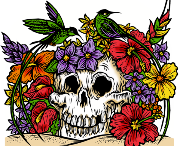 Skull (599x486), Png Download