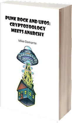 Punk Rock And Ufos: Cryptozoology Meets Anarchy (333x416), Png Download