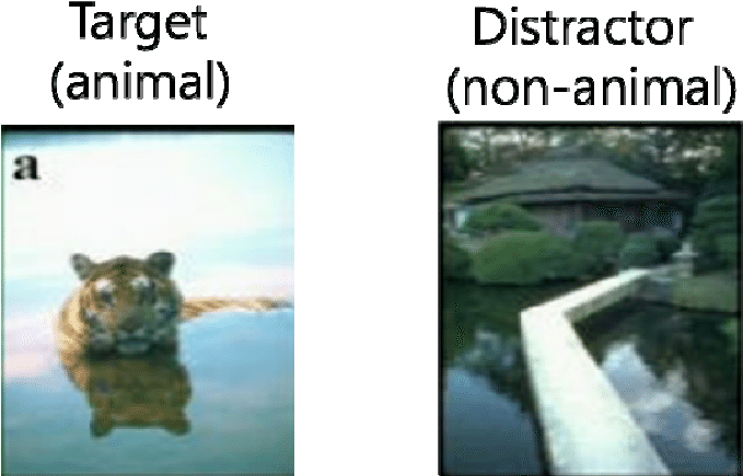 Example Of Target And Distractor (non-animal) Images - Art Of Shapeshifting (703x462), Png Download