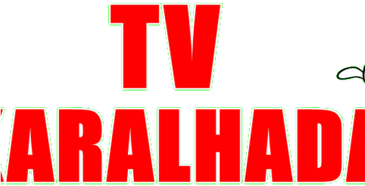 Photo - Orange (530x528), Png Download