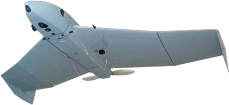 Microb - Microb Bluebird (520x272), Png Download