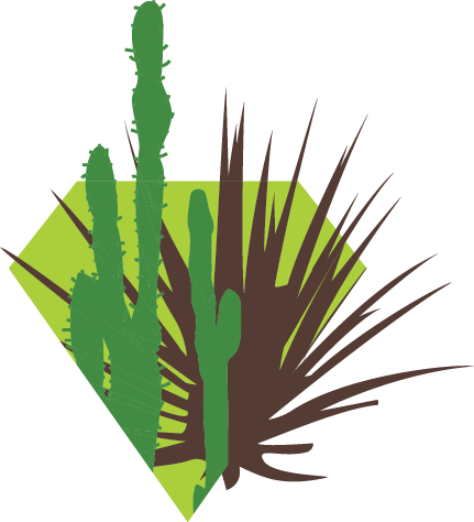 In This Zone, We Show How Desert Plants Have Adjusted - Illustration (431x474), Png Download