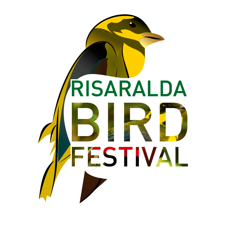 Risaralda Bird Festival - Bird Festival Pereira 2018 (799x801), Png Download