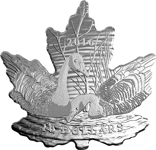 Pure Silver Coin Maple Leaf Silhouette - 2016 $10 Maple Leaf Silhouette Canada Geese Pure Silver (570x570), Png Download