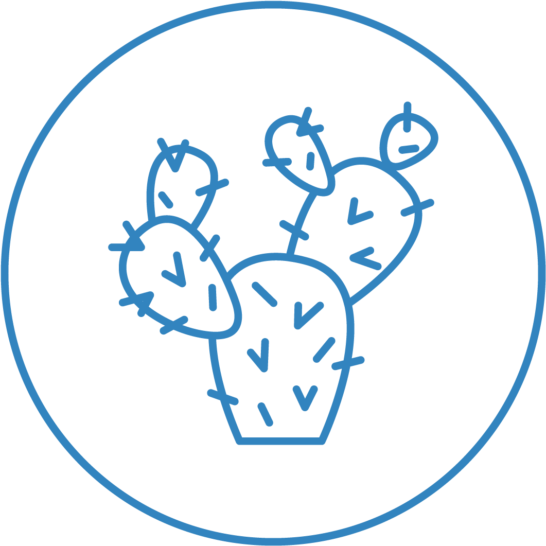 Desert-garden - Circle (1080x1080), Png Download