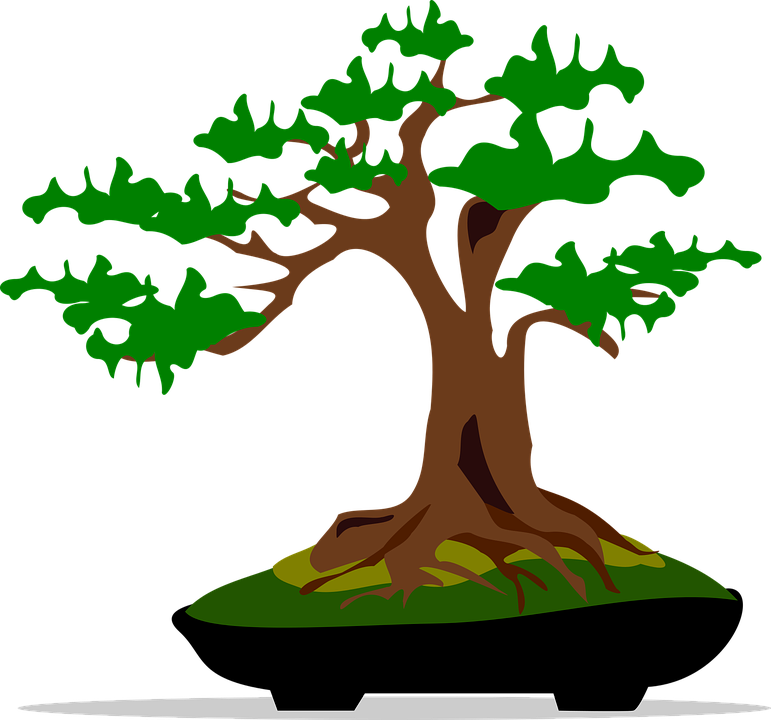 Bonsai Clipart Japanese Art - Bonsai Clipart (771x720), Png Download
