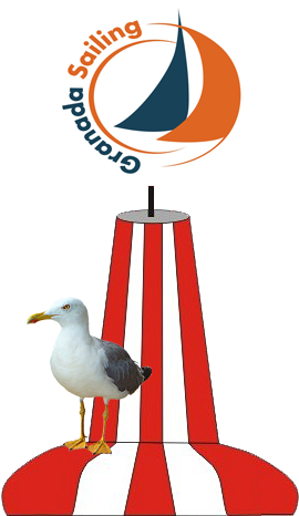 Ganas De Pasártelo Bien - European Herring Gull (295x468), Png Download
