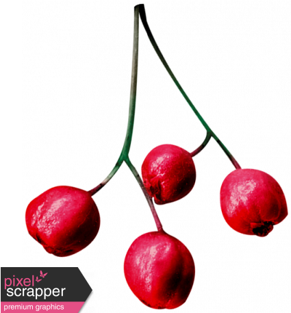 Christmas Day - Elements - Berries - Loved Word (456x456), Png Download