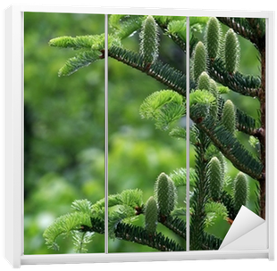 Wishing Plant (400x400), Png Download