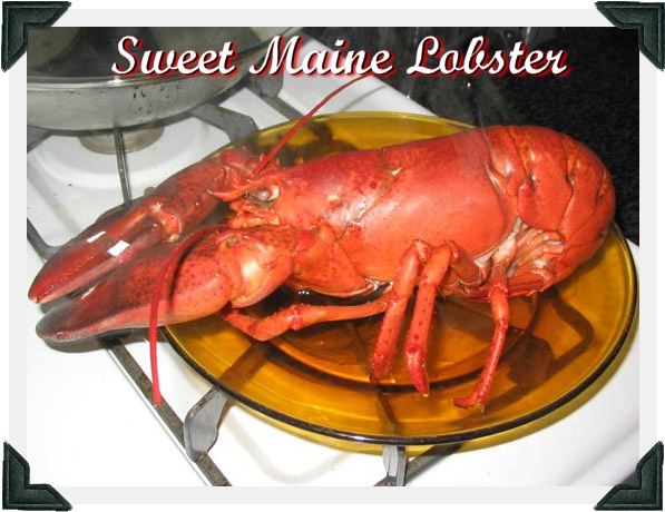 Sweet Maine Lobster - Cooked Lobster (642x505), Png Download