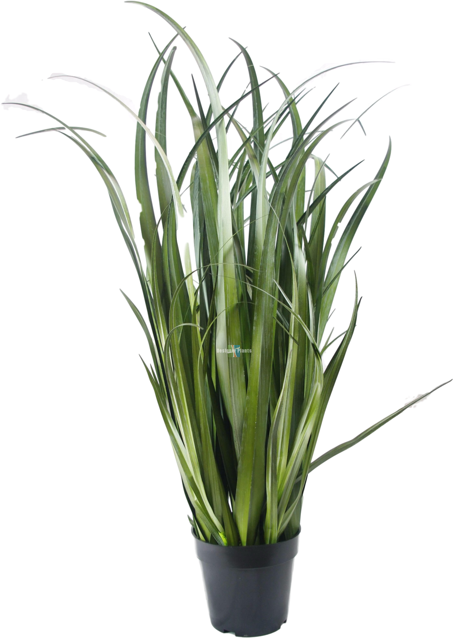 Fake Dense Grass Plant - Künstliches Schilfgras (1669x2512), Png Download