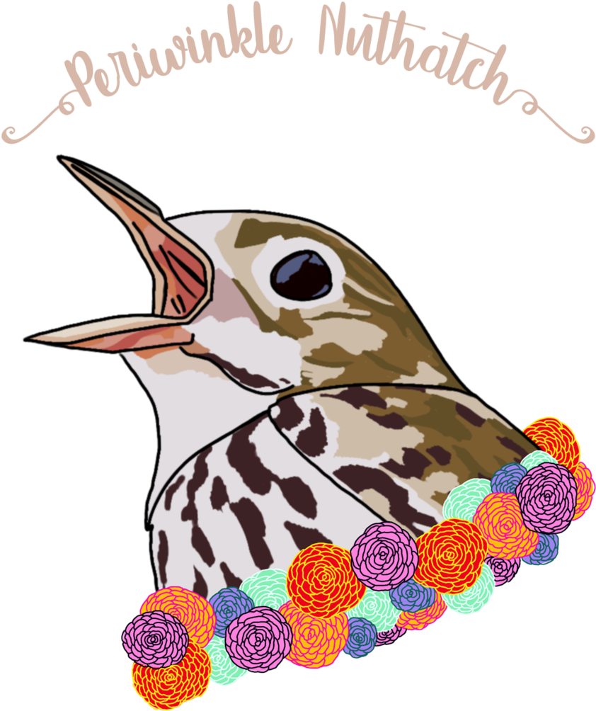 Thrush - Best Friends Animal Society (1000x1053), Png Download