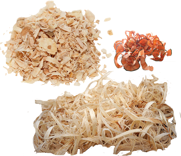 Photo By - - Wood Shavings No Background (600x600), Png Download