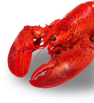 Image Description - Lobster (362x396), Png Download