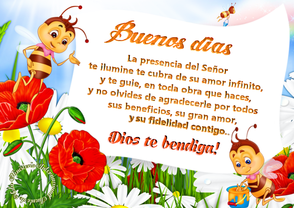 Bee (600x425), Png Download