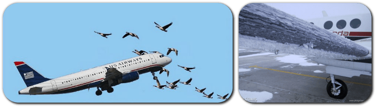 2 Forms Of Technology That Save People In/birds From - Technology (775x221), Png Download
