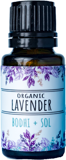 Camomile (640x640), Png Download