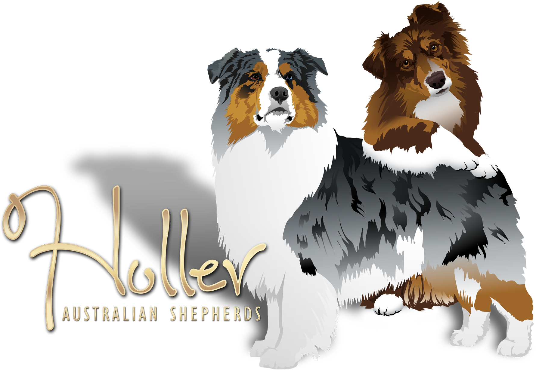 Australian Shepherd Kennel Logo (1920x1360), Png Download