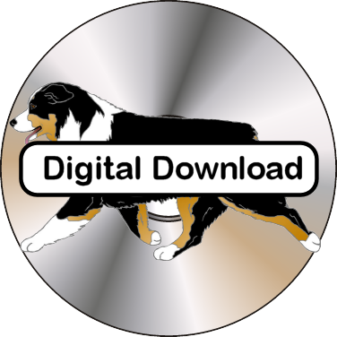 Australian Shepherd Clip Art Sampler (376x376), Png Download