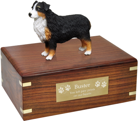 Australian Shepherd Tricolor Pet Wood Cremation Urn - Pug Urn (500x500), Png Download
