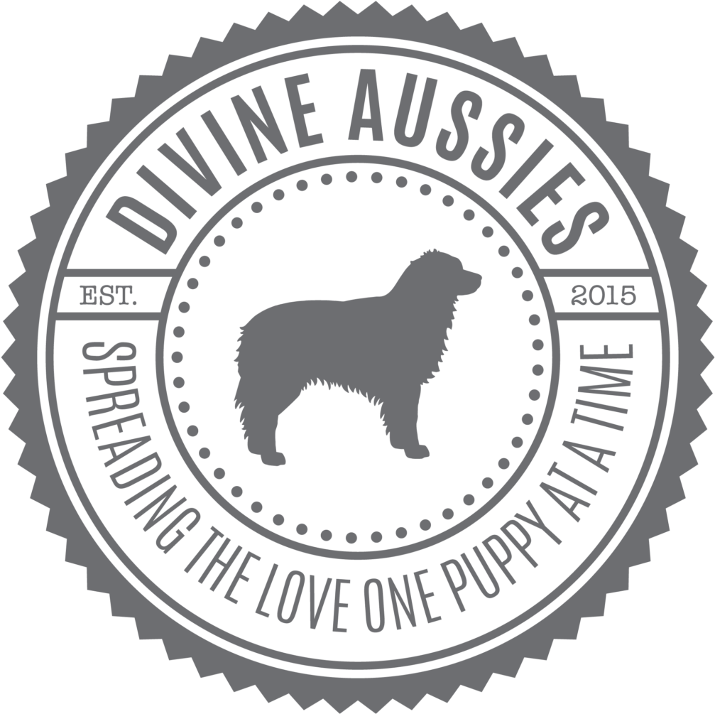 Sign Up For Litter Updates & Tips From Us - Three Mile Brewing (1024x1024), Png Download