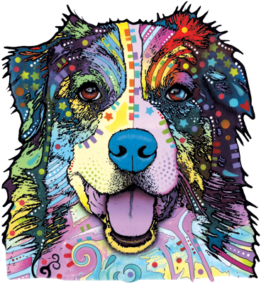 Australian Shepherd Heat Transfers - Dean Russo Border Collie (400x400), Png Download