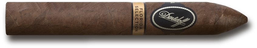 Dav Floridaselection Thecigar Transparent - Ammunition (1000x563), Png Download