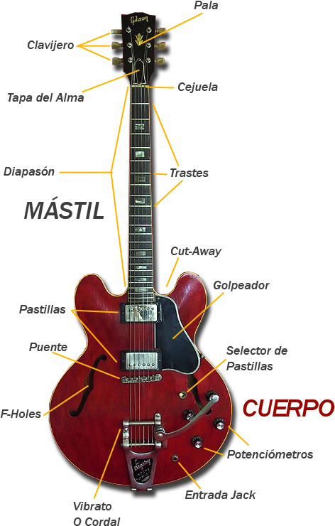 Partes De La Guitarra Eléctrica - Partes De Guitarra Jazz (482x800), Png Download
