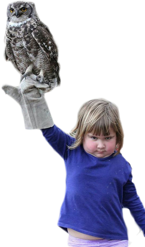 Personan Angry Girl Holding An Owl - Person Holding An Owl (560x840), Png Download