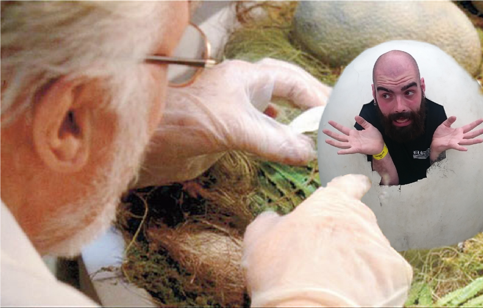 Http - //i - Imgur - Com/huaqvrr - Локации В Halo 5 (1622x1892), Png Download