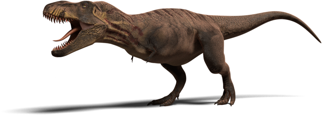 Tyrannosaurus Rex Model - Tyrannosaurus (1200x675), Png Download